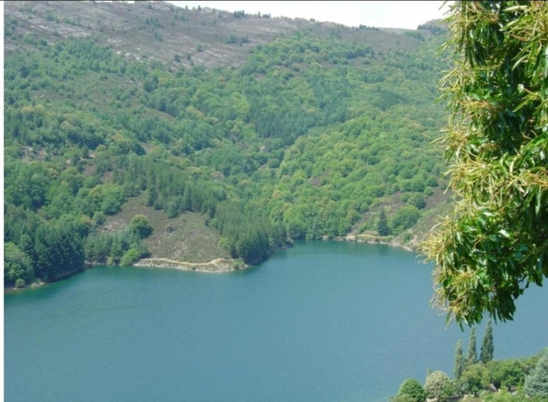 Sur Les Rochers Du Lac & Location-Rando En Vtt Villefort  Buitenkant foto