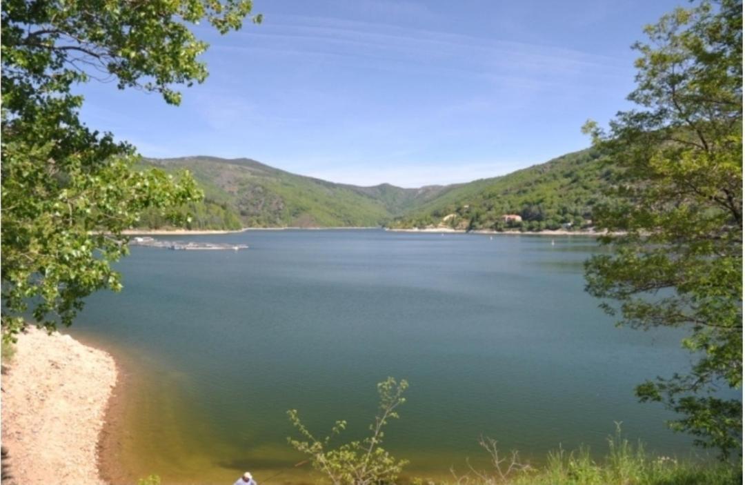 Sur Les Rochers Du Lac & Location-Rando En Vtt Villefort  Buitenkant foto